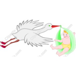 Stork Baby Delivery