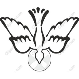 Elegant Bird