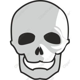 Cartoon Skull