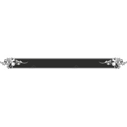 Elegant Floral Frame