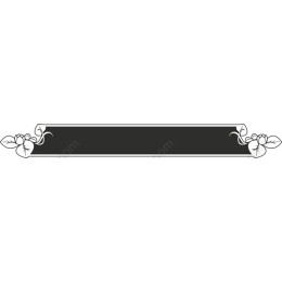Elegant Floral Border
