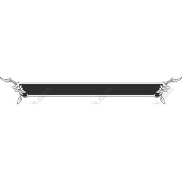 Elegant Floral Border