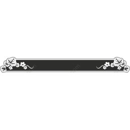 Elegant Floral Border