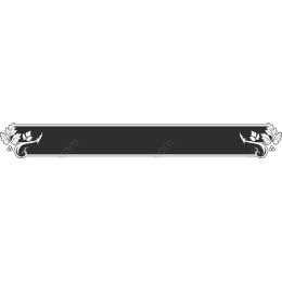 Elegant Decorative Border