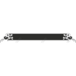 Elegant Black and White Floral Ornament