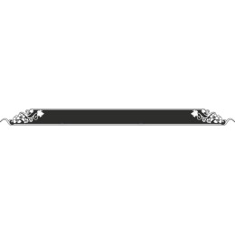 Elegant Floral Border