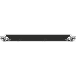 Elegant Decorative Border