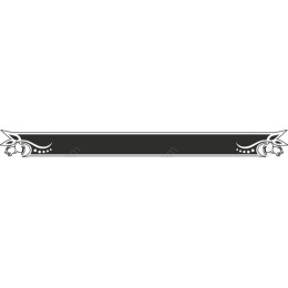 Elegant Decorative Border