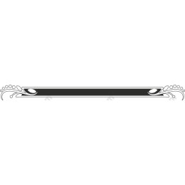 Elegant Decorative Border