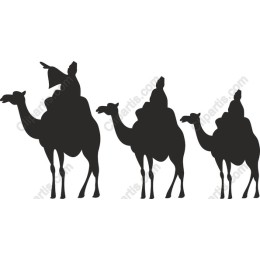 Majestic Camel