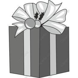 Elegant Gift Box