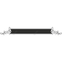 Elegant Floral Border