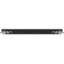 Elegant Floral Ornamental Border