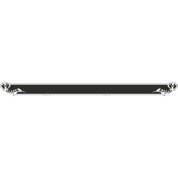 Elegant Black and White Decorative Border