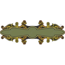 Elegant Decorative Frame with Intricate Vines