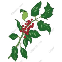 Holly Branch
