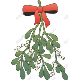 Festive Mistletoe with Ribbon