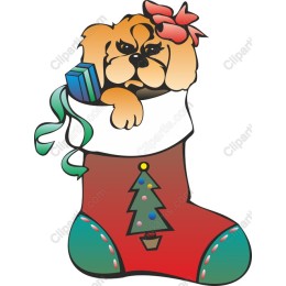Festive Dog in Christmas Stocking