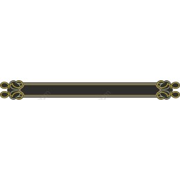 Ornamental Black and Gold Decorative Border