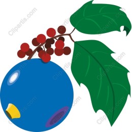 Vibrant Blueberry