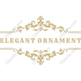 Elegant Ornament