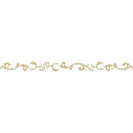 Elegant Ornamental Border