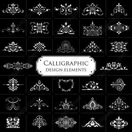 Calligraphic Elegance: Elements Collection