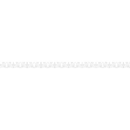 Elegant Minimalist