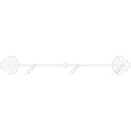 Elegant Versatile