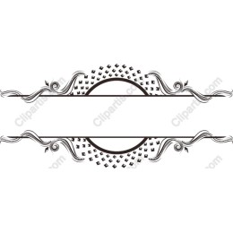 Elegant Vintage Ornate Frame