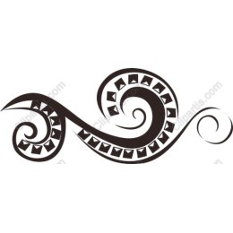 Elegant Swirl