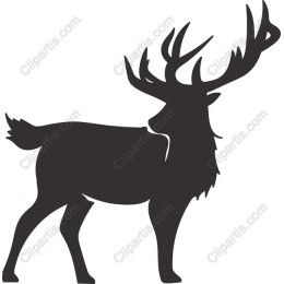 Majestic Stag