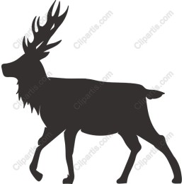 Majestic Stag