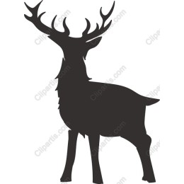 Majestic Stag