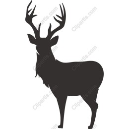Majestic Deer