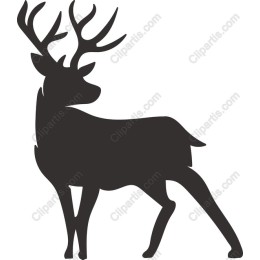 Reindeer
