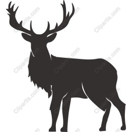 Majestic Deer