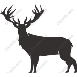 Majestic Stag