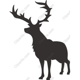 Majestic Stag
