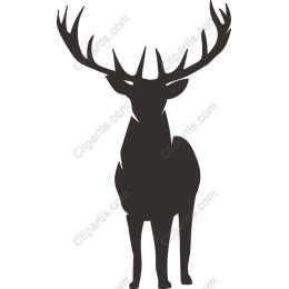 Majestic Stag