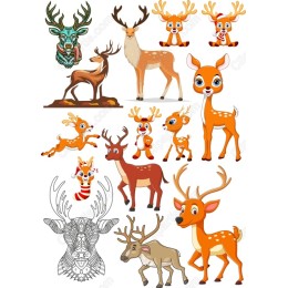 Deer Set: Whimsical in and