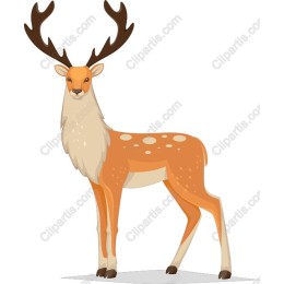 Majestic Deer