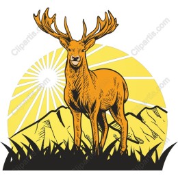 Majestic Stag Sunrise