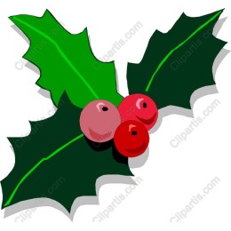 Vibrant Holly Berry