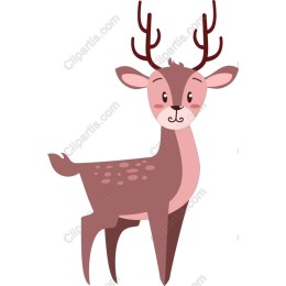 Cute Deer