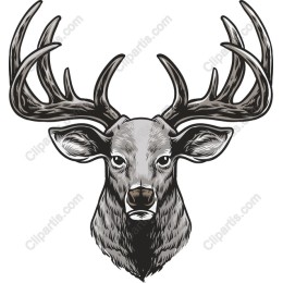 Majestic Deer Head