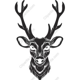 Majestic Deer Head