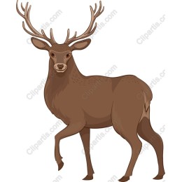 Majestic Stag