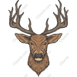 Majestic Stag Head