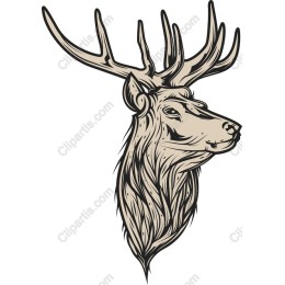 Majestic Deer Head